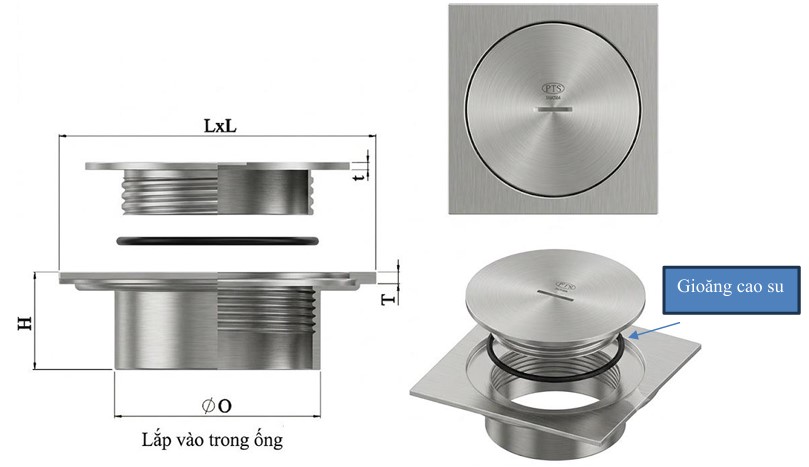 Thông tắc sàn COAS